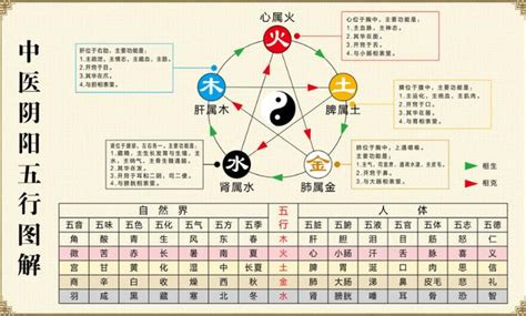 五行理論|中醫基礎/五行學說